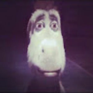 Meet your Posher, Katelyn